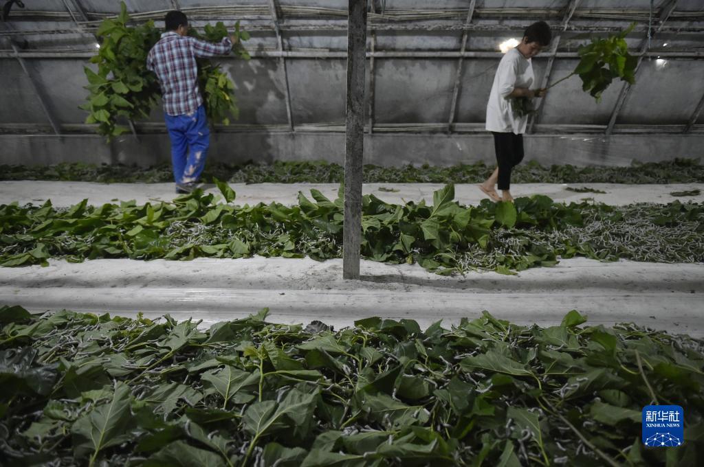 BBIN游戏欢迎光临